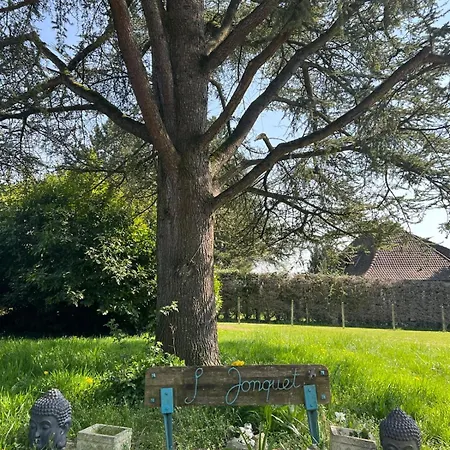 Le Jonquet Maison 12 Pers Sauna Jacuzzi Douriez